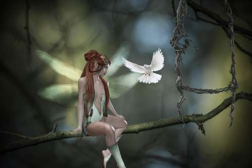 Fantasy World Elf Dove Dreams Plant