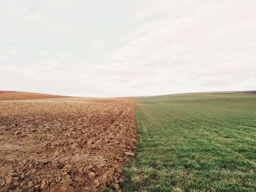 Farmland Meadow Field Border Sharp Countryside