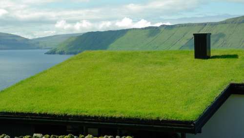 Faroes Fjord Roofing Grass