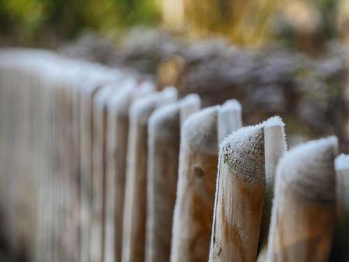 Fence Ice Frost Cold Winter Garden Wood