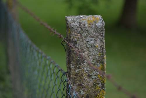 Fence Post Barbed Wire Demarcation Weathered Old