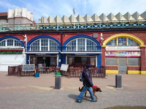 Ferry Terminal Brighton Pedestrians Walking The Dog