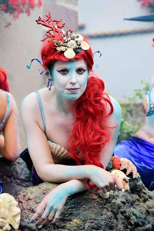 Festival Mermaid Disguise Rousse