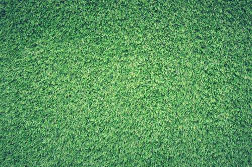 Field Grass Green Lawn Texture Background