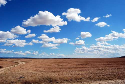 Field Clouds Sky Agriculture Horizon Plowing