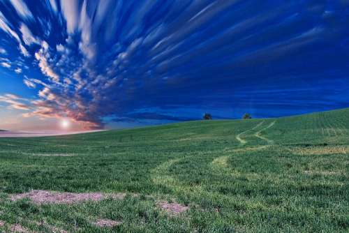 Field Meadow Nature Grass Green Landscape Sky