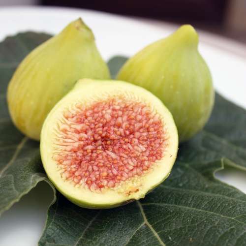 Figs Fruit Half Leaf Mediterranean Foods Organic