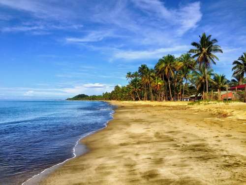 Fiji Beach Sand Palm Trees Tropics Sky Clouds