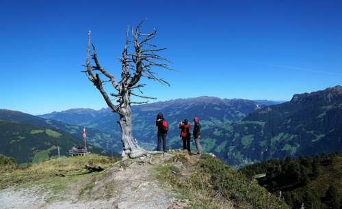 Finkenberg Austria Mountain Hike Holidays Nature