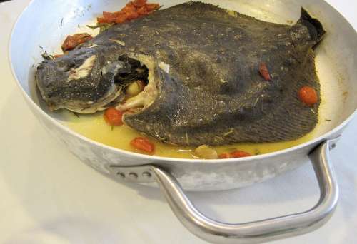 Fish Seafood Rombo Pan Grilled Italian