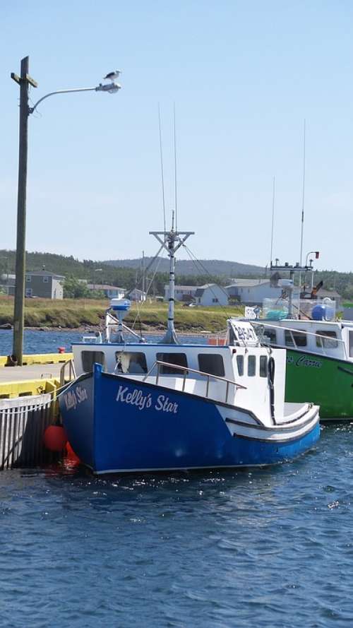 Fishing Boat Newfoundland Garnish Harbour Vessel