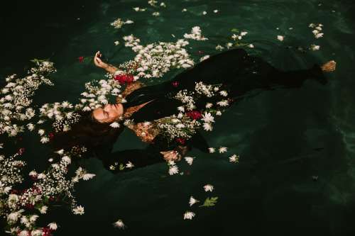 Floating Flowers Petals Swimming Swimming Pool