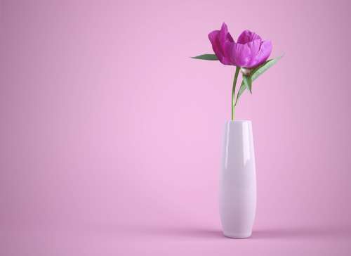 Flower Vase Colorful Pink Thank You Background