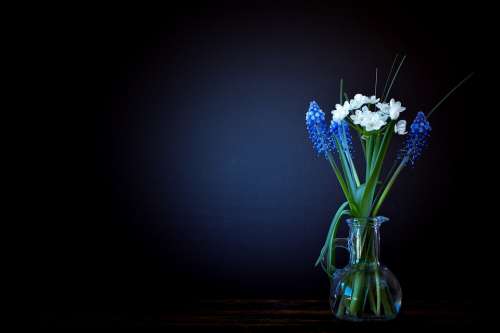 Flowers Vase Glass Leek Flower White Hyacinth