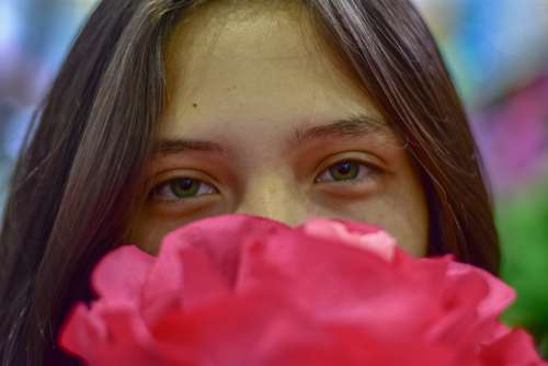 Flowers Rose Pink Green Eyes