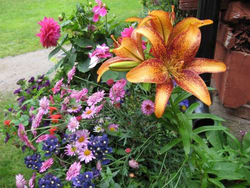 Flowers Color Colorful Bouquet