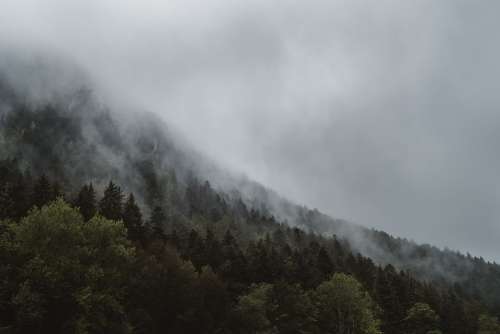 Fog Haze Forest Foggy Landscape Mist Mountain