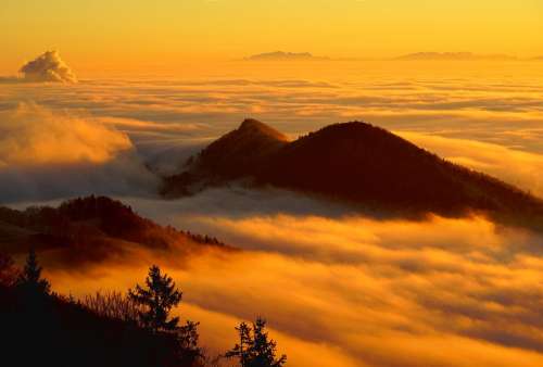 Fog Clouds Sea Of Fog Mountain Landscape Homberg