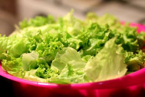 Food Salad Lettuce Healthy Vegetables Green
