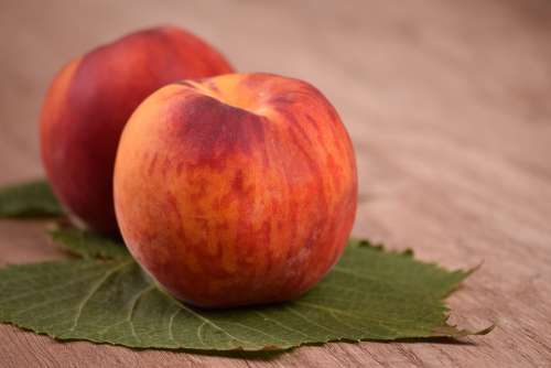 Food Peach Nectarine Fruit Fruits Healthy Food