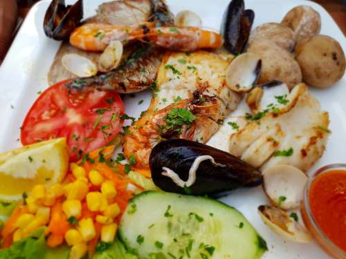 Food Fish Shellfish Delicious Meal Fresh Kitchen