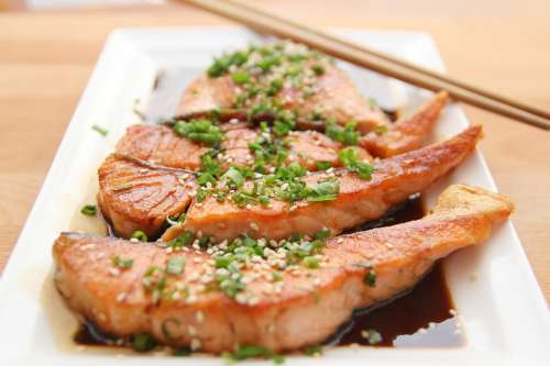 Food Salmon Teriyaki Fish Eat Dish Restaurant