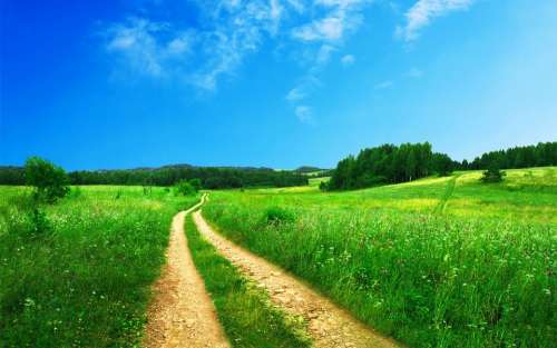 Footpath Pathway Rural Green Road Nature Sky