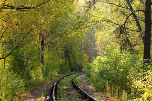 Forest Railway Twist Trees Nature Rails Landscape