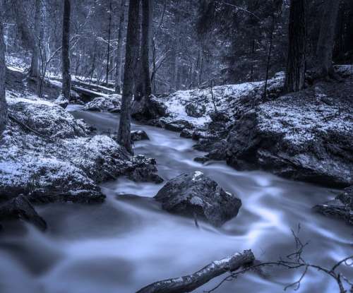 Brook Winter Swedish Nature Creek Sweden Trees