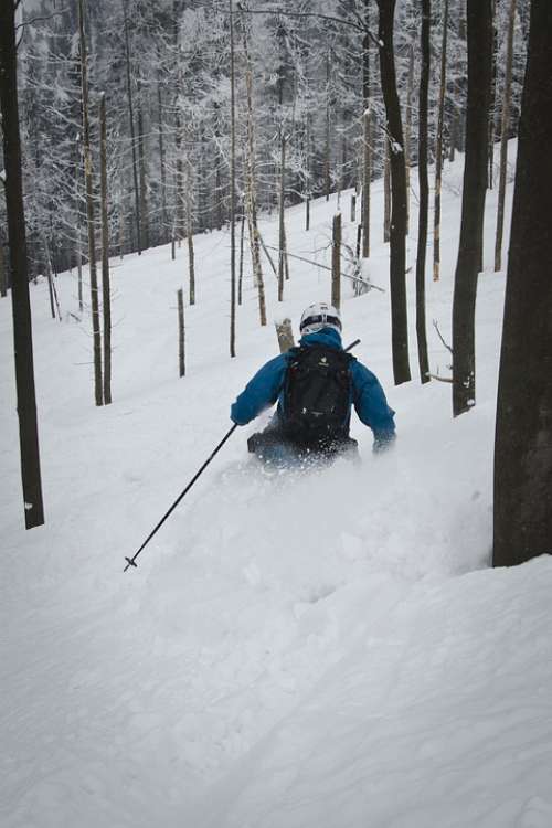 Freeride Skis Winter Forest