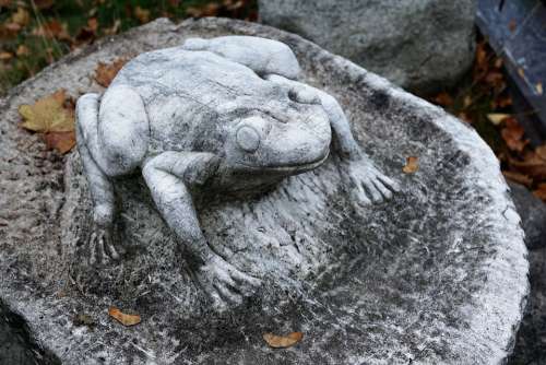 Frog Stone Sculpture Amphibian Decoration Cemetery