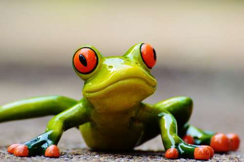 Frog Funny Figure Cute Animal Fun Green Sweet