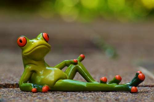 Frog Lying Relaxed Cute Rest Figure Funny