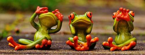 Frogs Not See Not Hear Do Not Speak Funny Cute