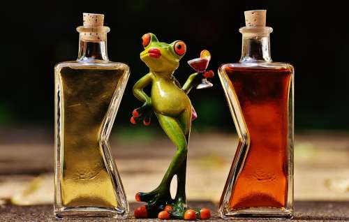 Frogs Chick Beverages Bottles Alcohol Figures