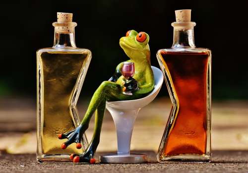 Frogs Chick Beverages Bottles Alcohol Figures