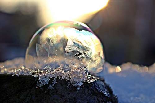 Frost Bubble Frozen Bubble Soap Bubble Winter