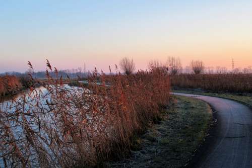 Frozen Sunrise Reed Rose Landscape Fog Channel