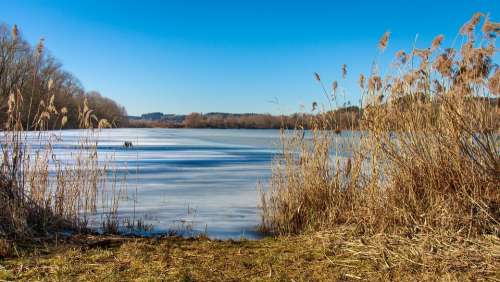 Frozen Lake Winter Cold Ice Frost Wintry Scenic