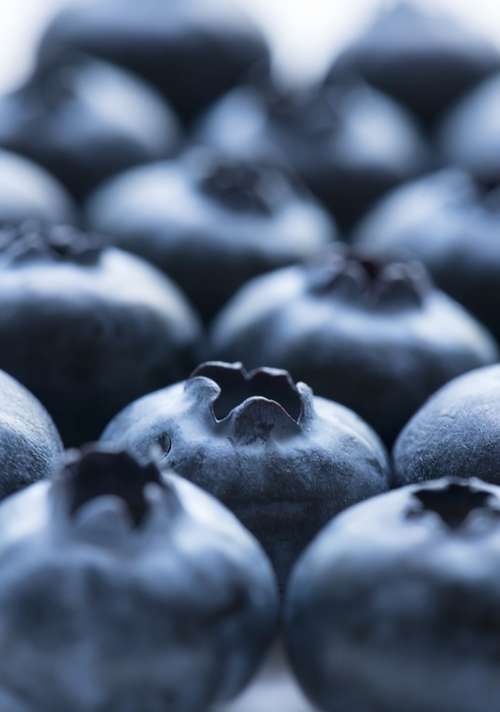 Fruit Blueberry Food Closeup Juicy Antioxidant