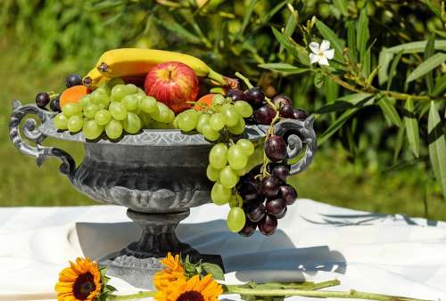 Fruit Bowl Shell Fruit Fruits Healthy Food Summer