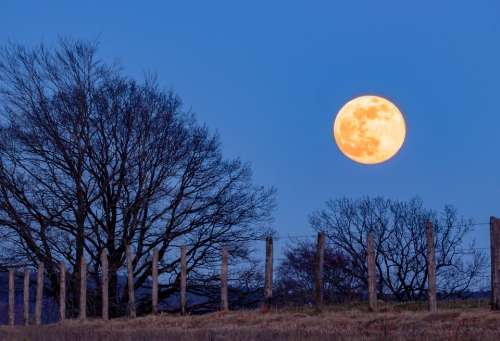 Full Moon Super Moon Moon Blue Hour Moonlight Sky