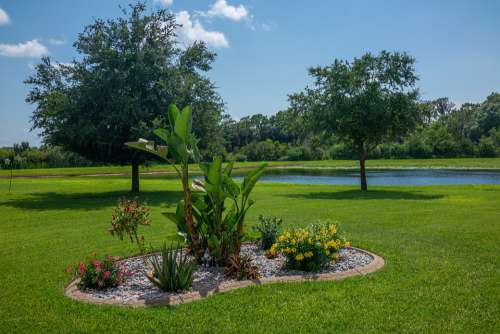 Garden Pond Sky Flowers Nature Water Blossom