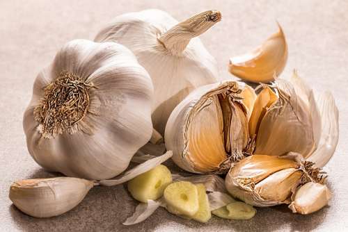 Garlic Flavoring Food Seasoning Condiment Pungent