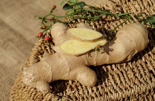 Ginger Ingber Immerwurzel Root Sharp Spice Food