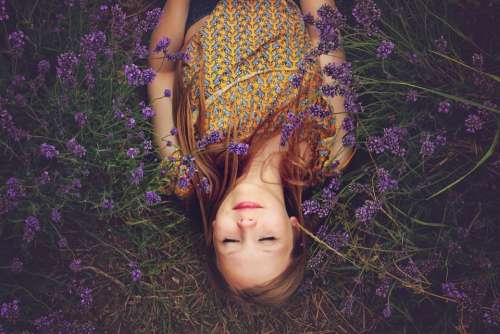 Girl Lavender Asleep Happiness Purple Flowers
