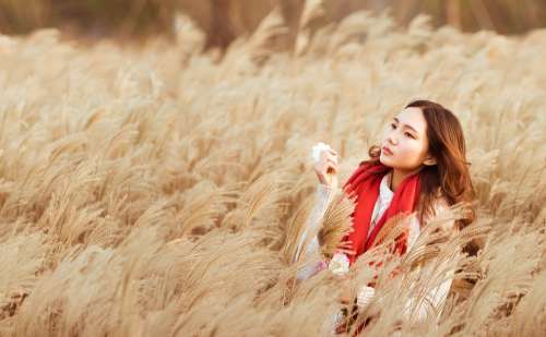 Girl Asian Chinese Red Scarf Woman Grasses Beauty