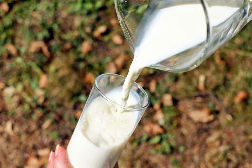 Glass Milk White Cow'S Milk Pour A Drink
