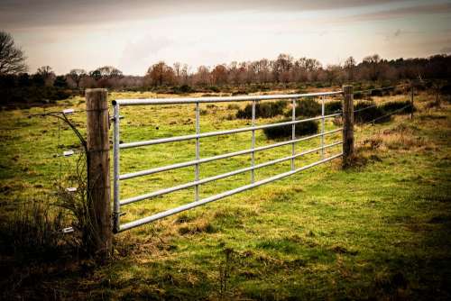 Goal Gate Fence Pasture Meadow Metal Door