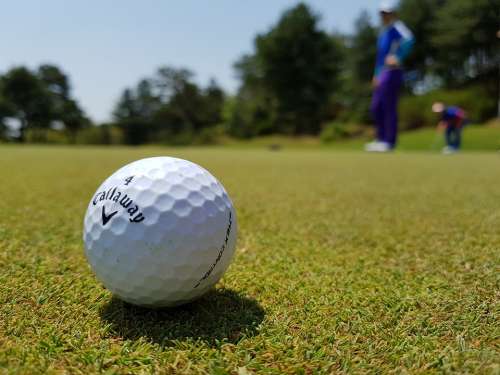 Golf Golf Ball Golfers Golf Club Sport Fairway